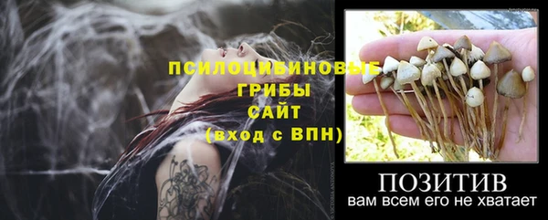 прущая мука Горнозаводск