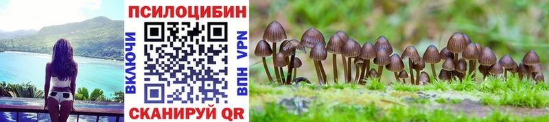 Псилоцибиновые грибы прущие грибы  где можно купить наркотик  Кузнецк 