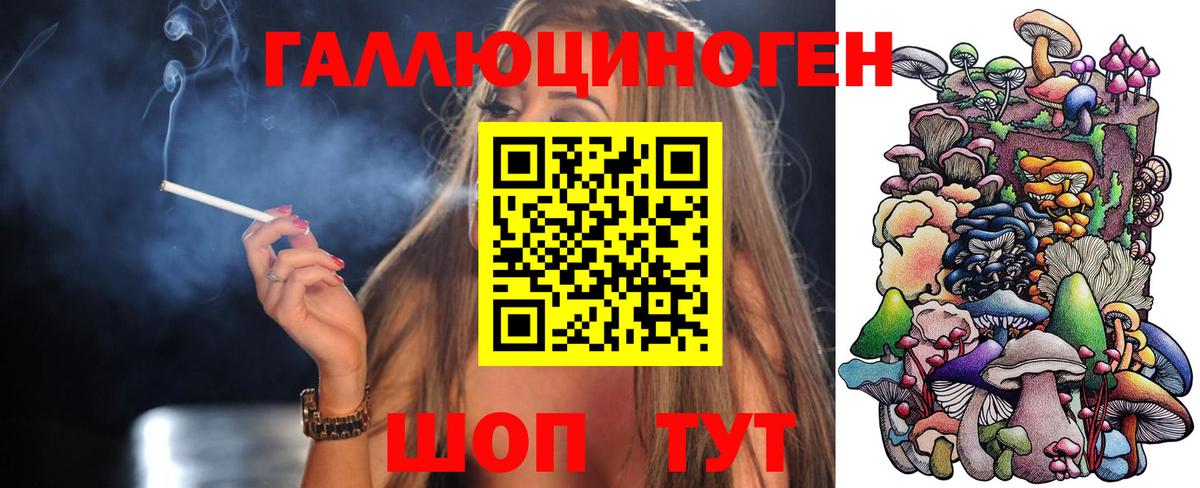 Кузнецк  Псилоцибиновые грибы GOLDEN TEACHER  сколько стоит  Вход с VPN 